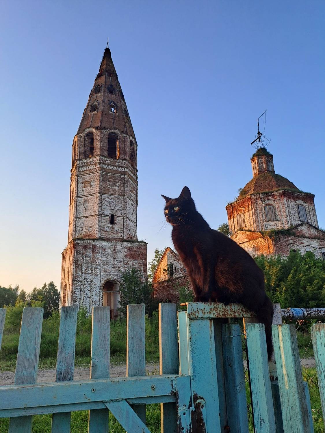 Ритусик