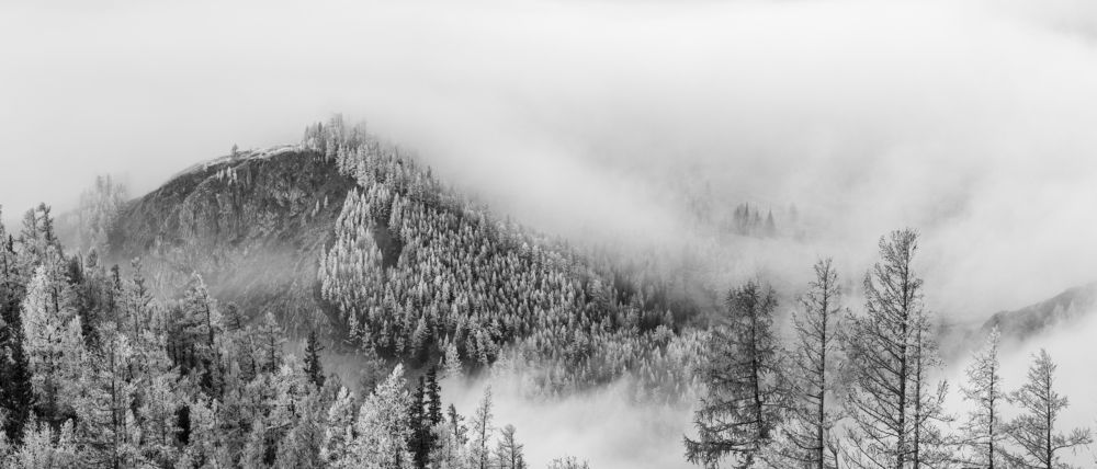 Фотография автора Devender Mark