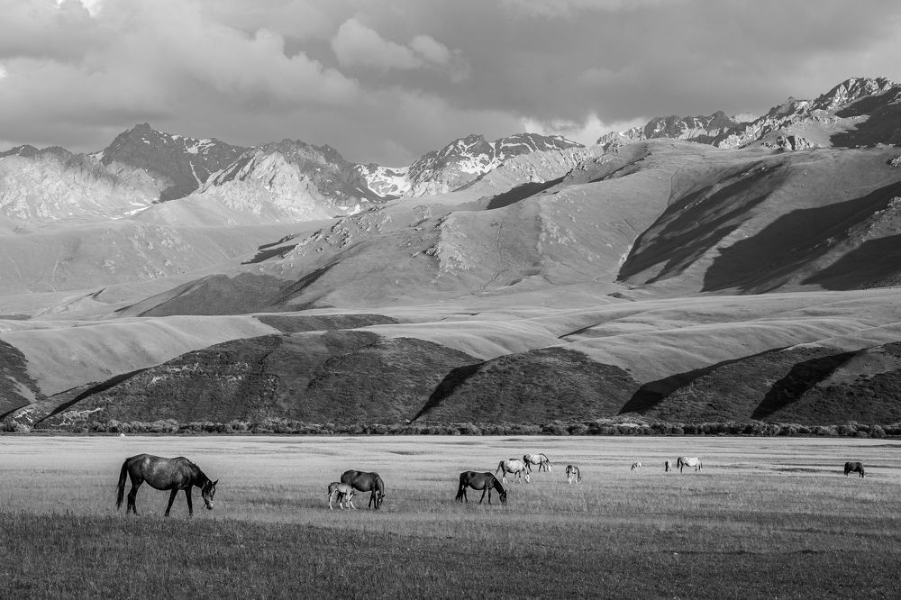 Photograph by Леонид Синев