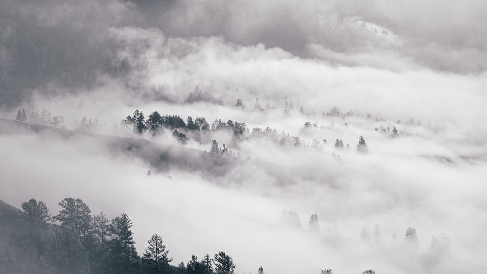 Photograph by Devender Mark