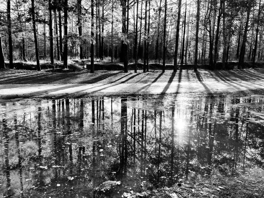 Фотография автора Рамзия Хисамутдинова