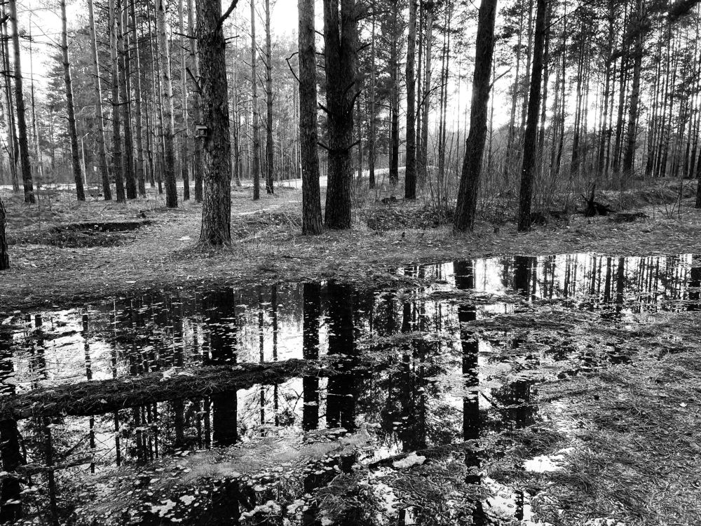 Фотография автора Рамзия Хисамутдинова