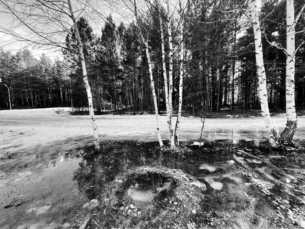 Фотография автора Рамзия Хисамутдинова