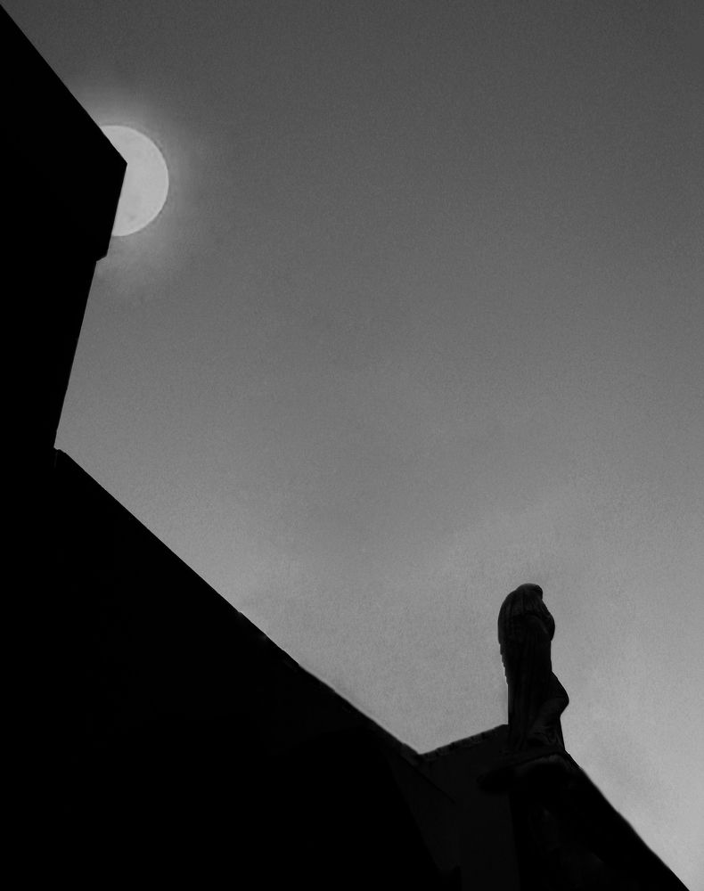 Photograph by Olga Sokolinskaya