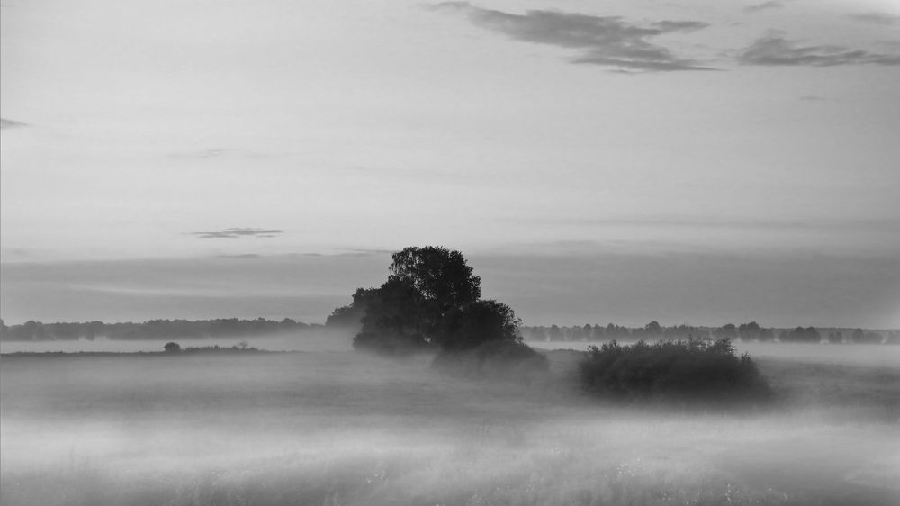 Photograph by Николай Протасеня