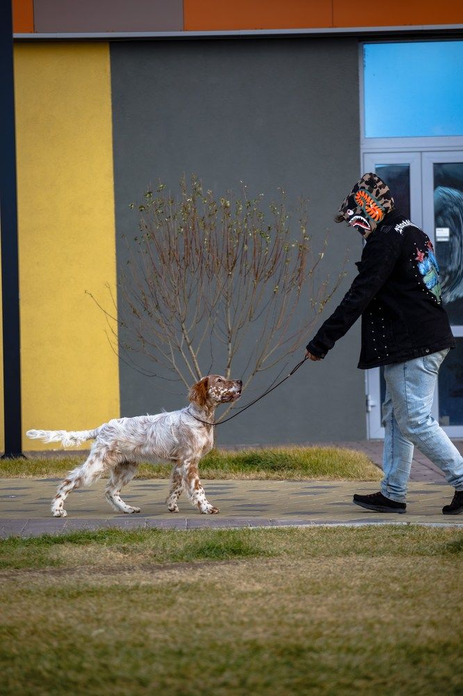 Photograph by Екатерина Козловская