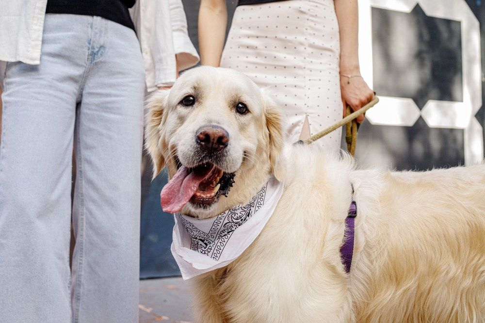 Photograph by Екатерина Козловская