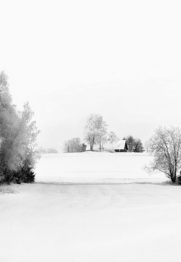 Фотография автора Alina Filimonova