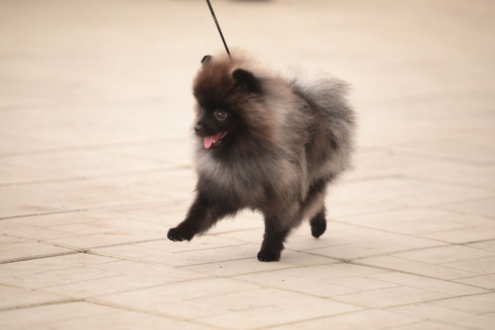 Photograph by Екатерина Козловская