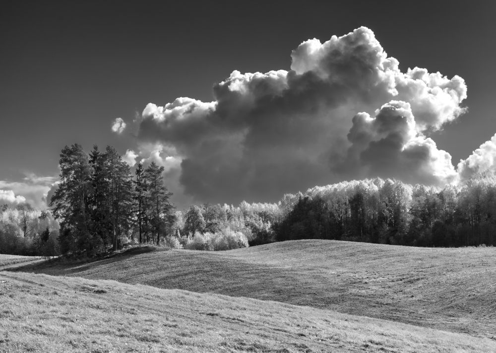 Photograph by Ivars Skudra