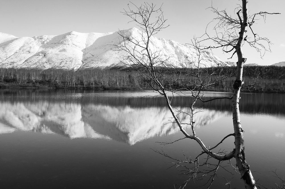 Спокойствие