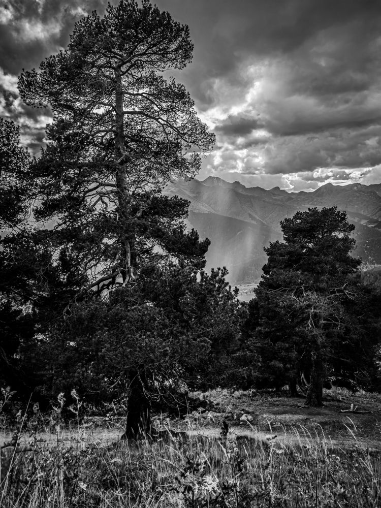 Photograph by Igor M.