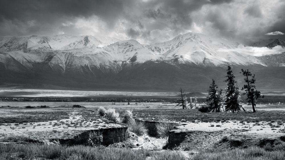 Photograph by Devender Mark