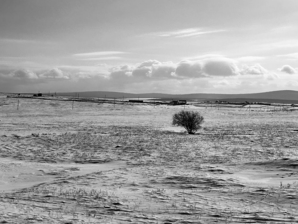 Photograph by Светлана Ионова