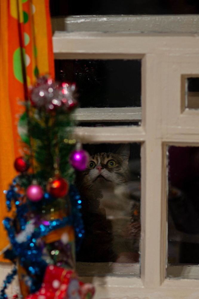 Photograph by Андрей Савёлов