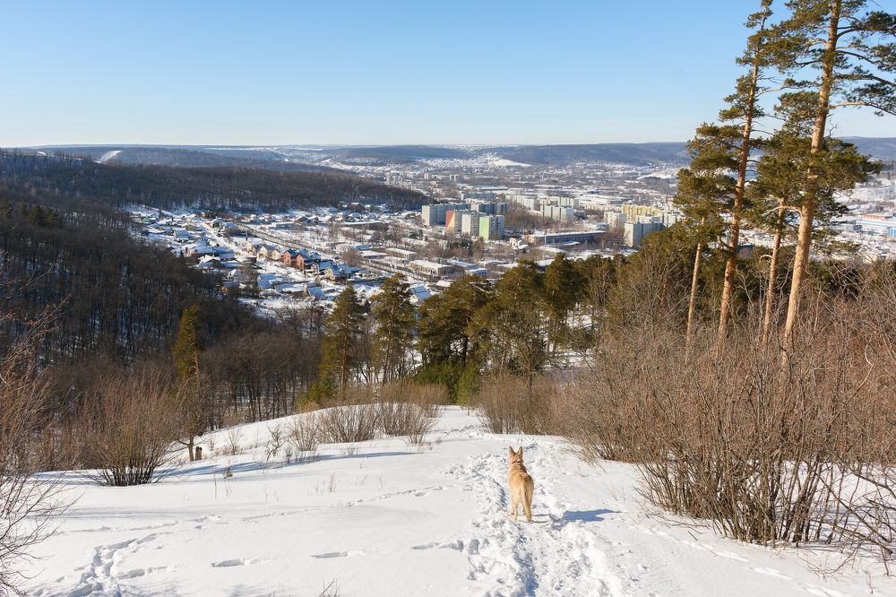 Photograph by Arkhipov