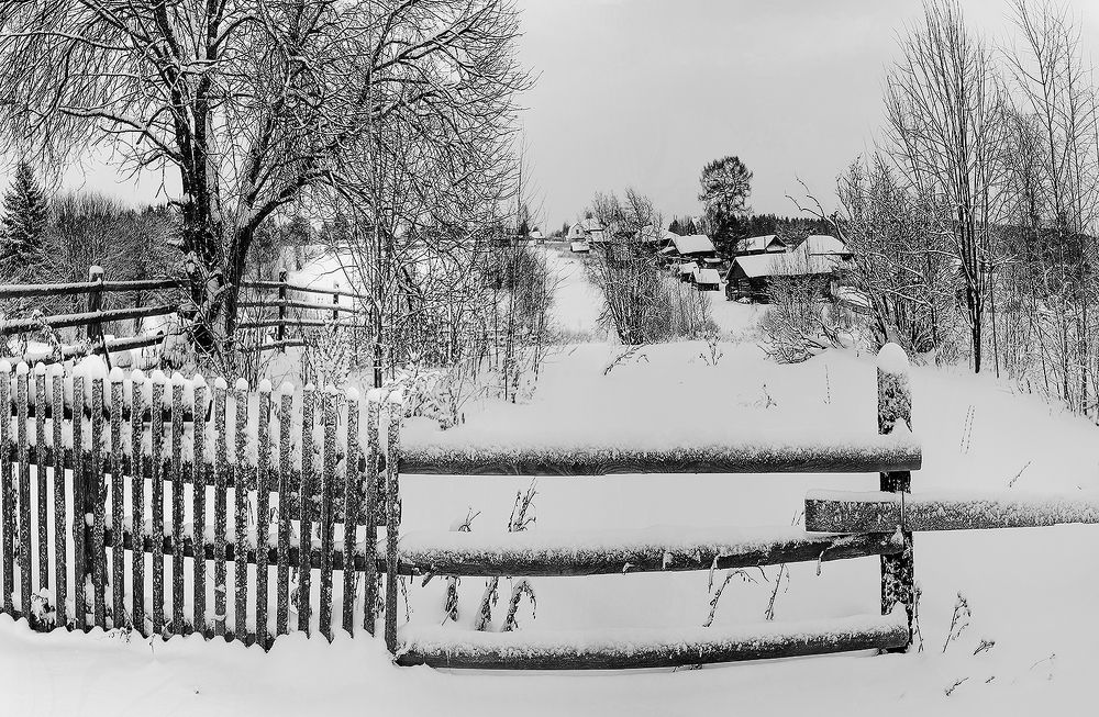 Photograph by Надежда Колеватова