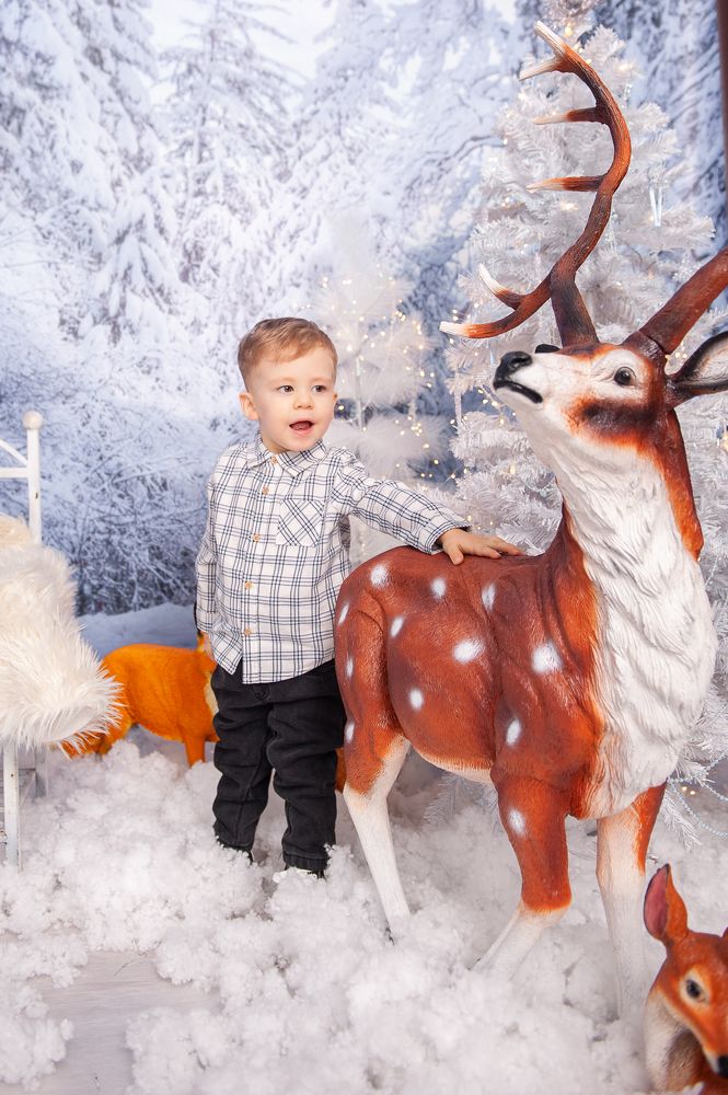 Фотография автора Елена Ефименко