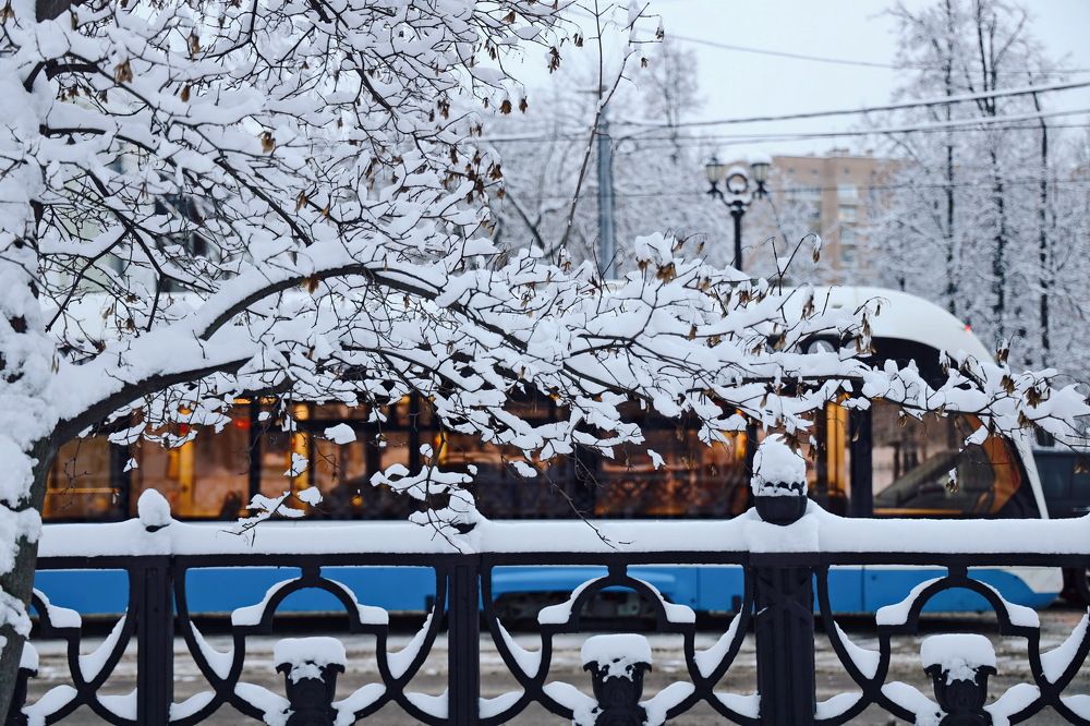 Москва, на бульваре.