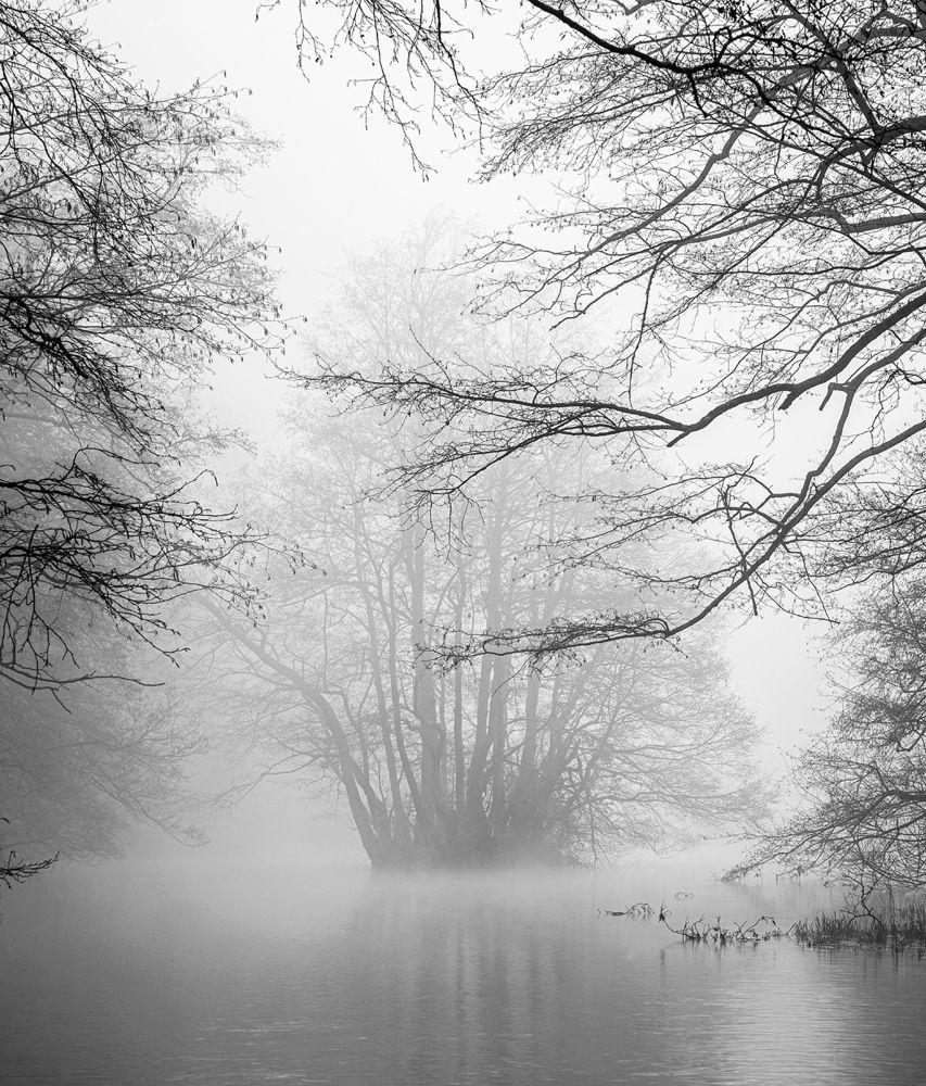 Photograph by muhamed borovic