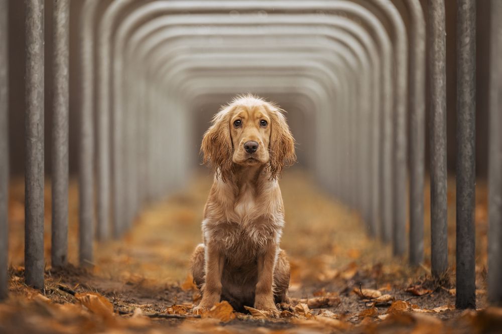 Photograph by Elke Braet