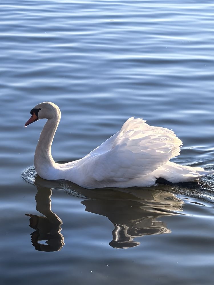 Photograph by Елизавета Зыкова