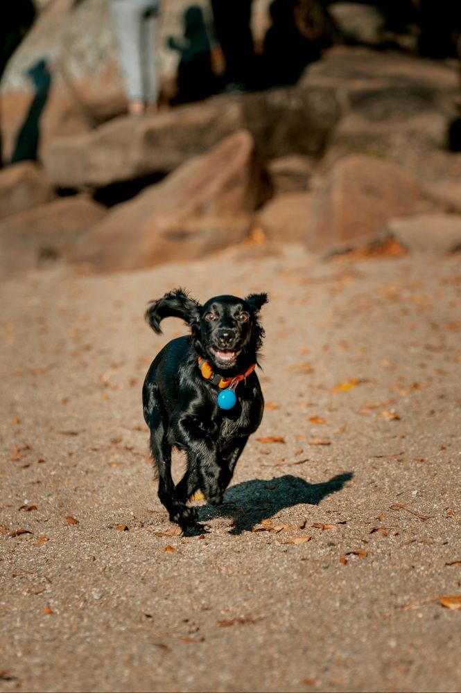 Фотография автора Николай Ратель