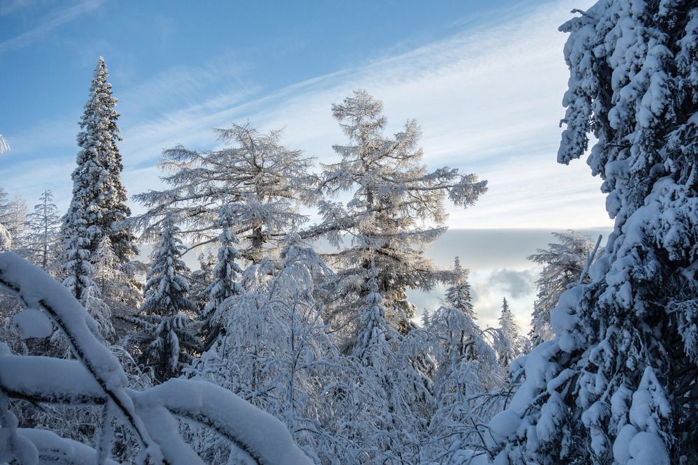 Photograph by Виктор Петров