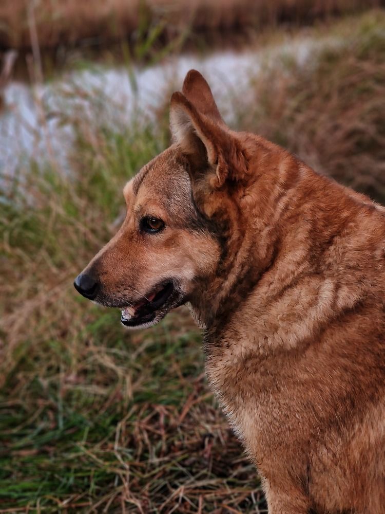 Photograph by Мария Стремина