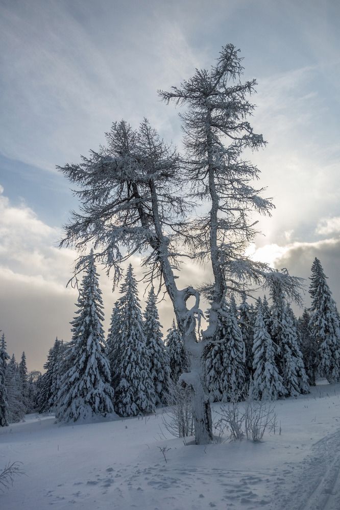 Photograph by Виктор Петров