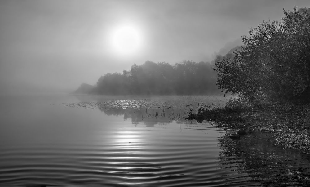 Photograph by Людмила Железнова