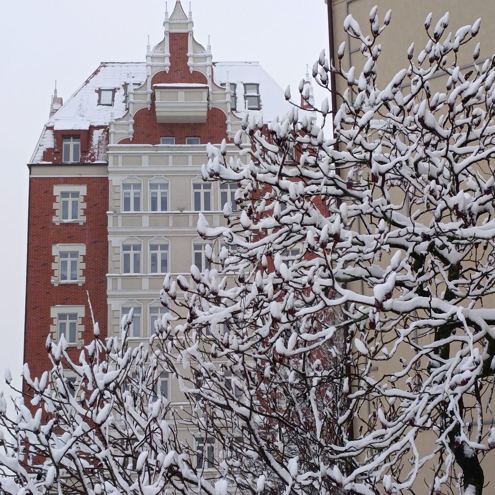 Photograph by Ирина Шведчикова