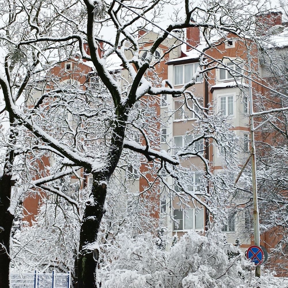 Photograph by Ирина Шведчикова