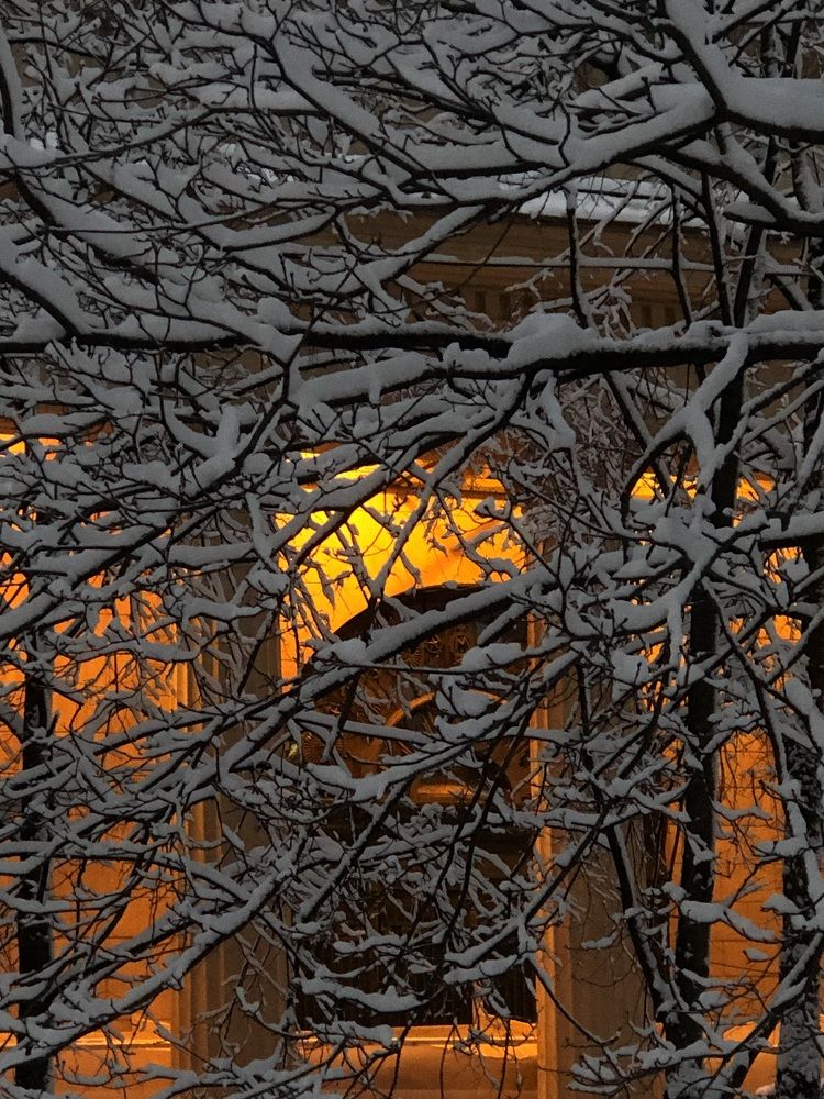 Photograph by Мария Бессмертная