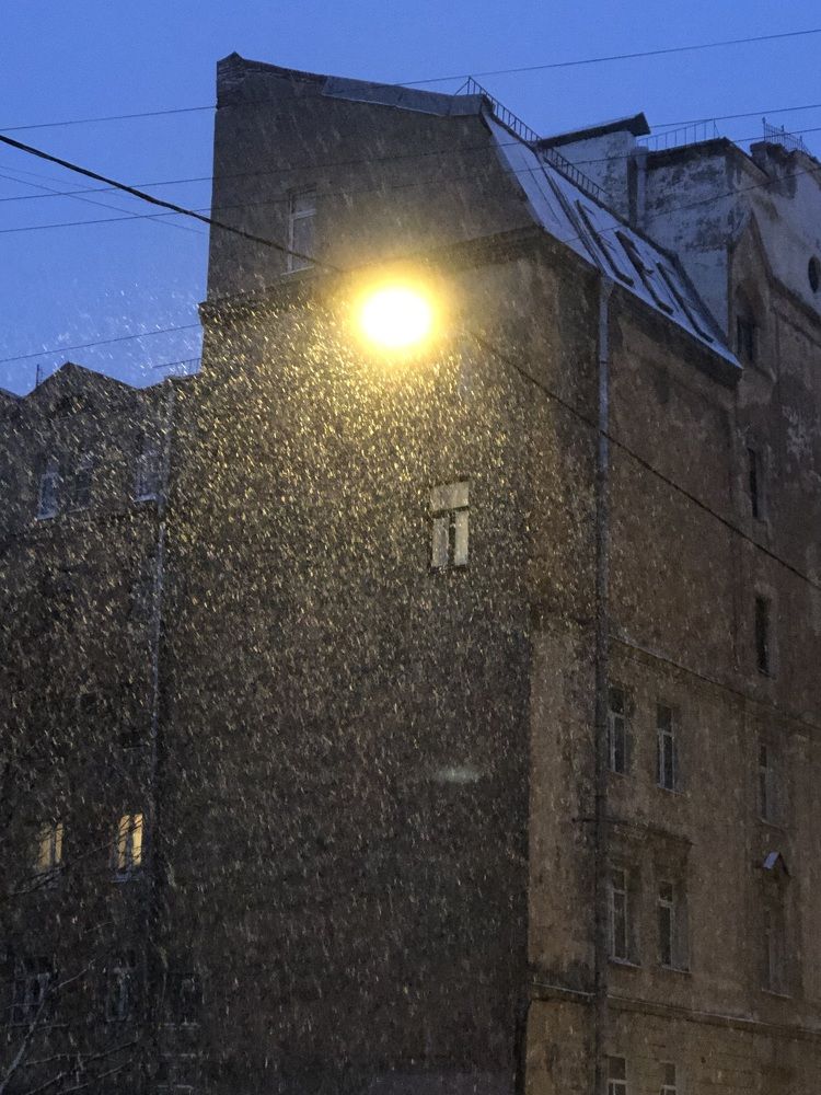 Photograph by Мария Бессмертная