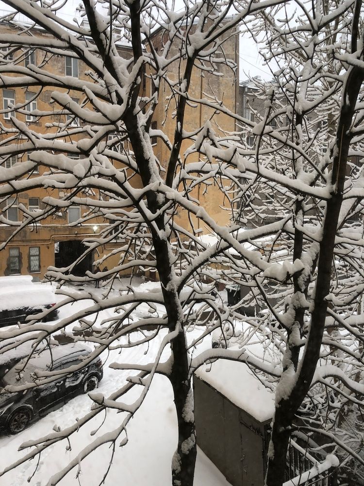 Photograph by Мария Бессмертная