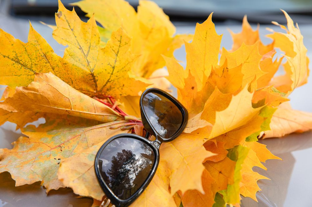 Photograph by Дарья Николаевна