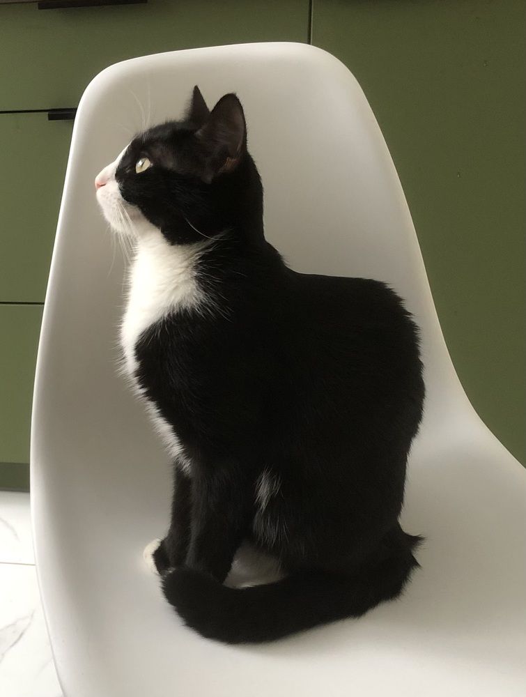 Photograph by Мария Бессмертная