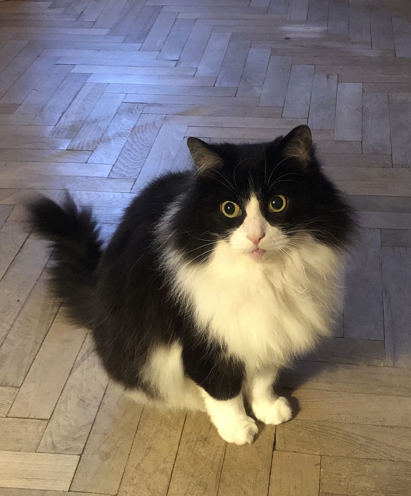 Photograph by Мария Бессмертная