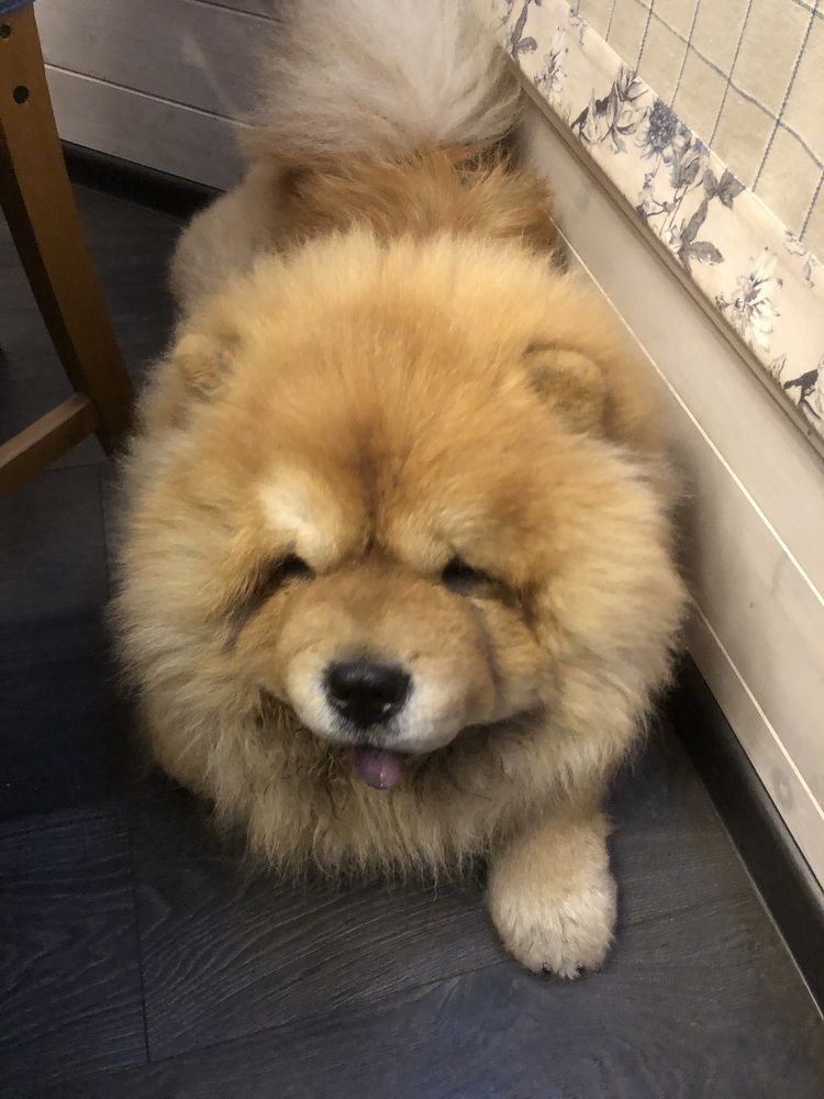 Photograph by Мария Бессмертная