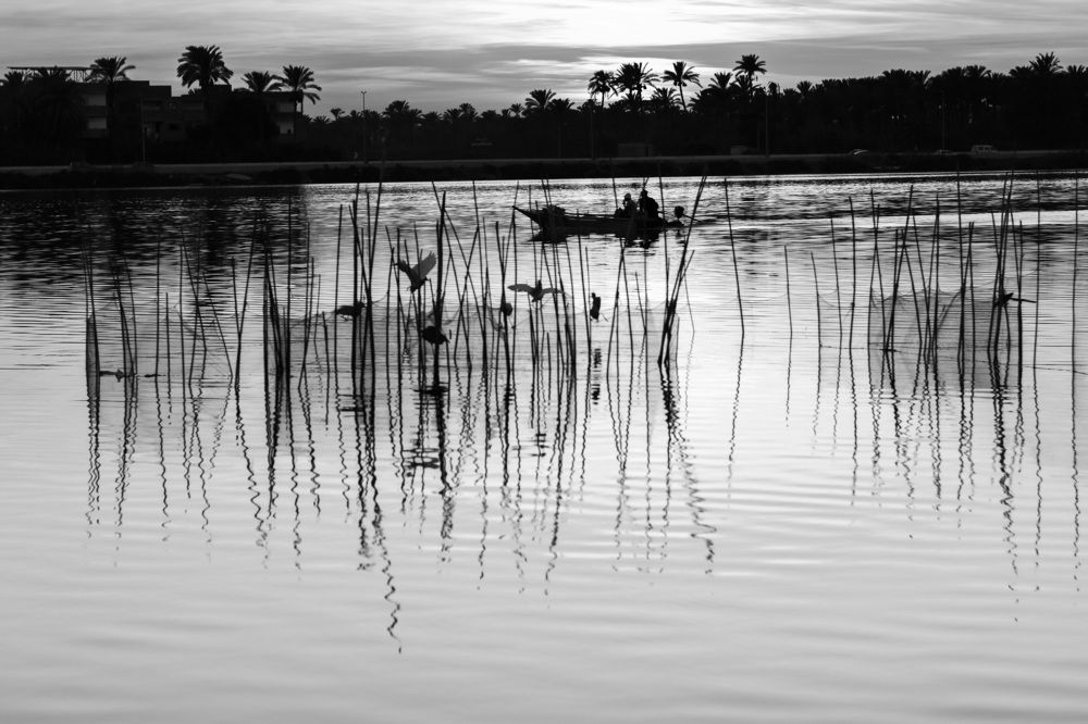 Everyone loves to eat fish