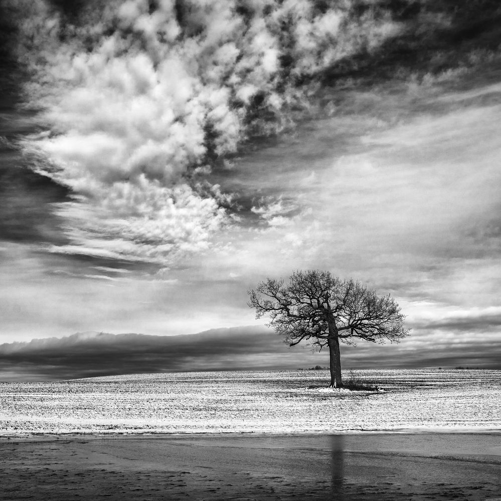 Photograph by Ivars Skudra