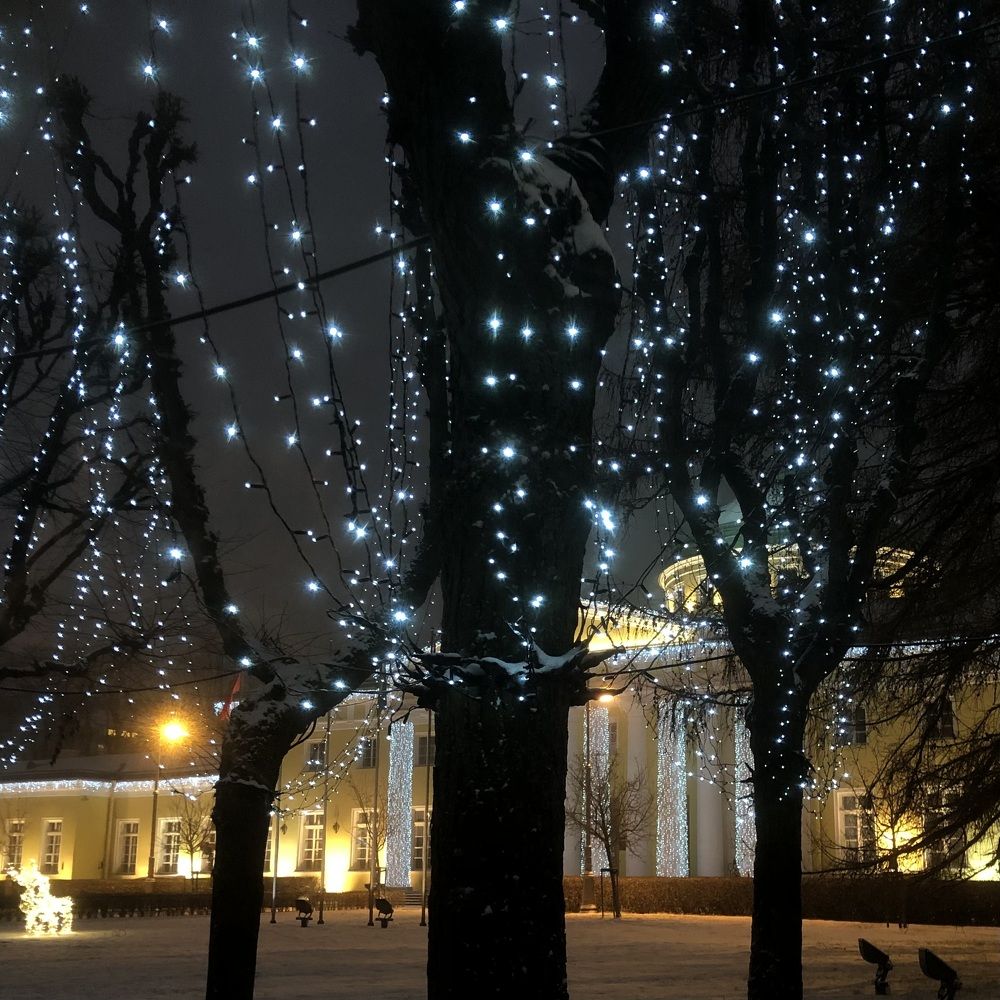 Photograph by Мария Бессмертная