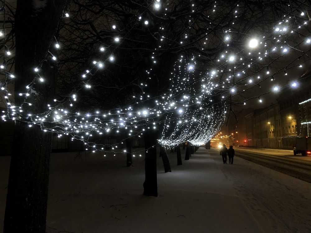 Photograph by Мария Бессмертная