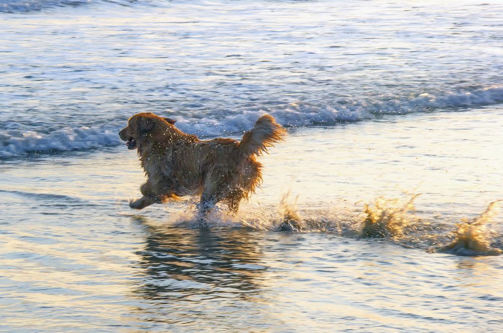 Photograph by Илья