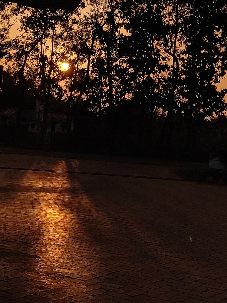Golden Horizon