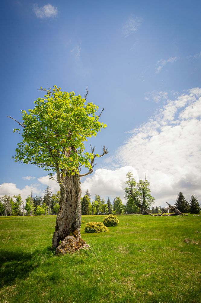 Photograph by Jan Vacek