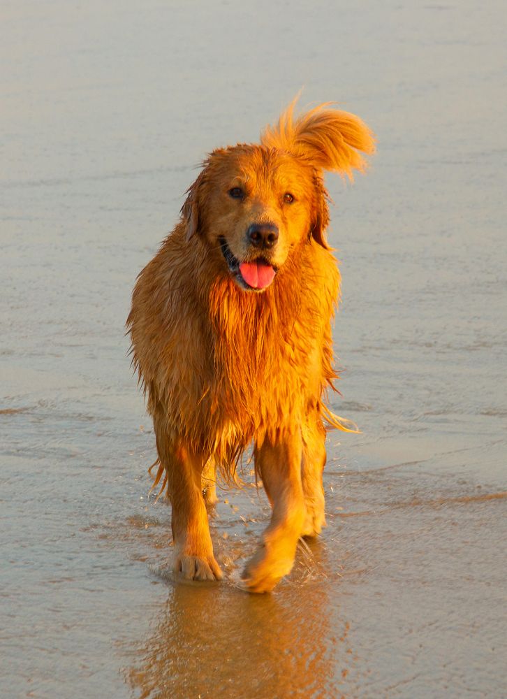 Photograph by Илья