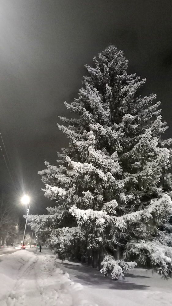 Photograph by Назмутдинова Сауия