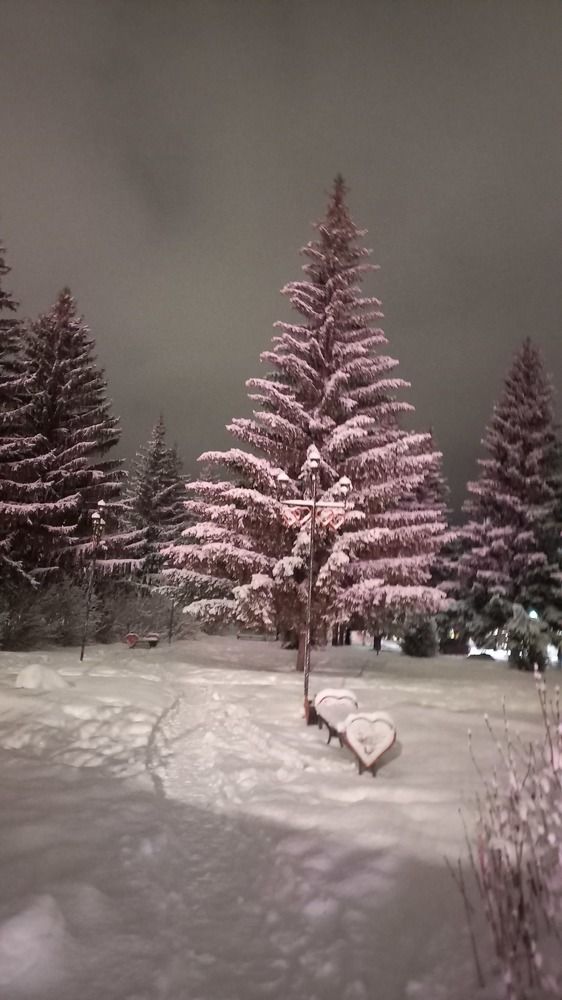 Photograph by Назмутдинова Сауия